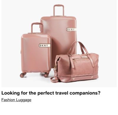 Looking for the perfect travel companions?
