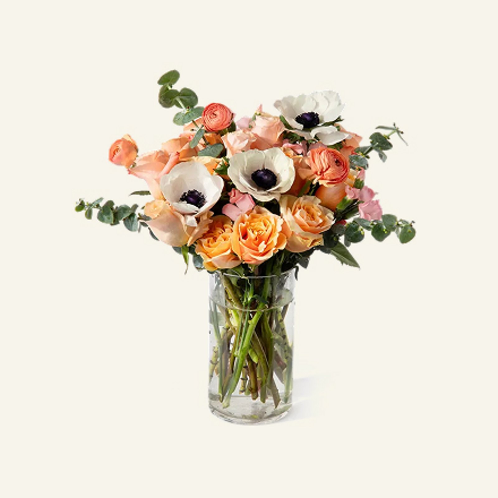 Plants & Flowers