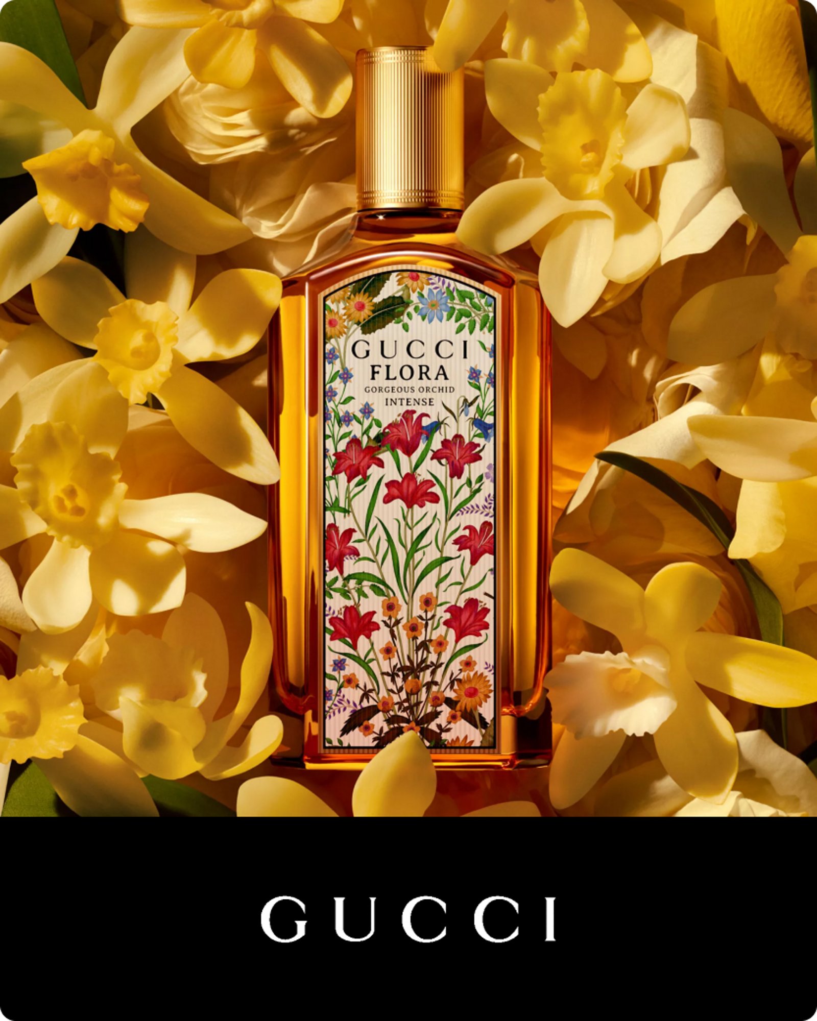 more-to-explore-Gucci-new-at-macys