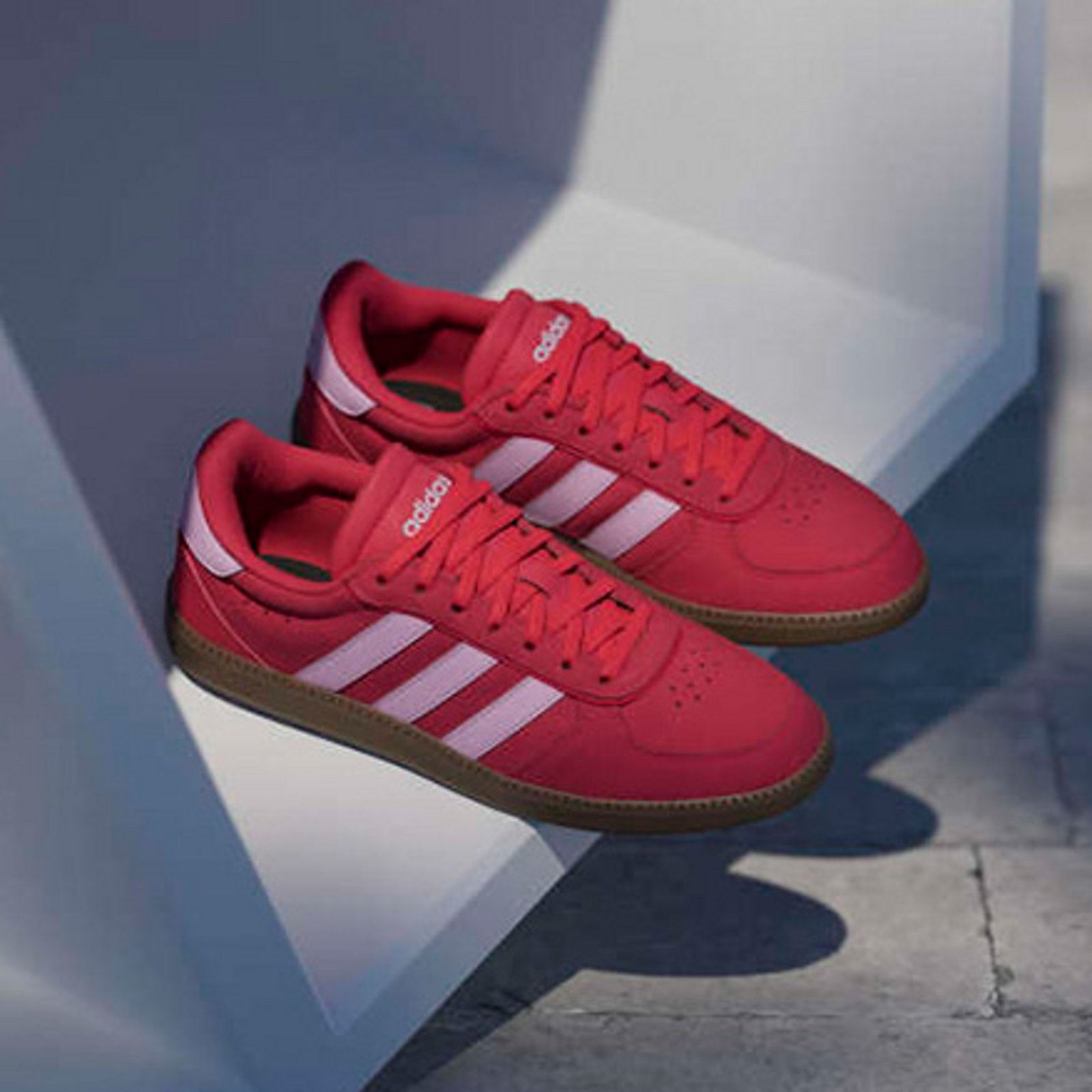 Sneakers & Accessories